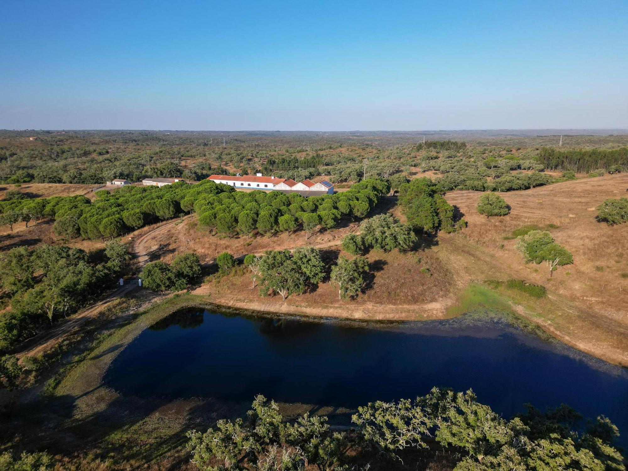 Вилла A Casinha Sao Bartolomeu da Serra Экстерьер фото